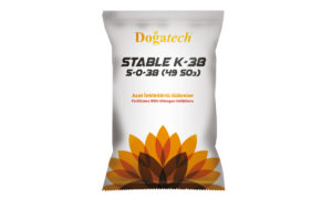 dogatech-stable-k-38